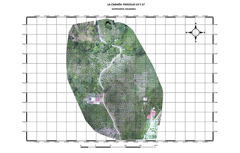 Levantemiento1 0002 sin título 2 0001 d1v1