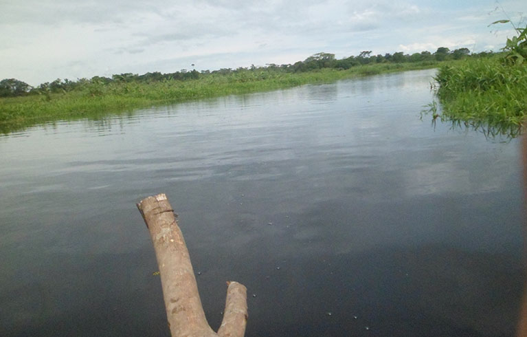 Limpieza cienaga 0000 limpieza de cienagas